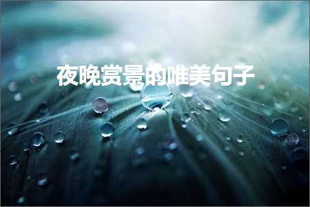 澶х悊鍙ゅ煄鐨勫敮缇庡彞瀛愶紙鏂囨265鏉★級